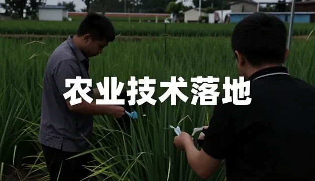 种植技术指导业务如何适应不同适用条件
